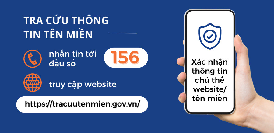  Sử dụng đầu số 156 tra cứu thông tin tên miền